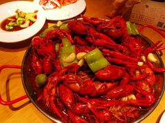 -杨氏青龙虾·羊蝎子(托乐嘉店)