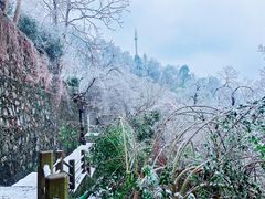 -紫金山山顶公园
