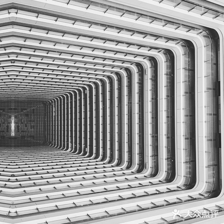 成都拍照| IFS的大熊猫屁屁你还没拍腻嘛?