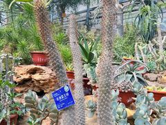 -国家植物园南园