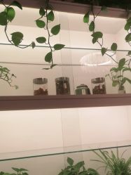 -诗媛嘉美健康管理中心(金桥店)