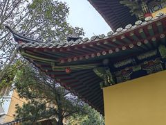 -普陀山风景区-佛顶山