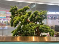 -老板恋上鱼(印象城店)