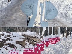 -洛阳白云山景区