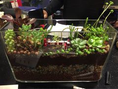 妈妈的味道-妈妈的味道(工人体育场东路店)