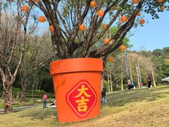 -云溪植物园