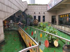 -陕西自然博物馆