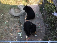 -无锡动物园·太湖欢乐园