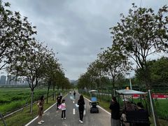 -光明小镇欢乐田园