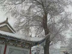 -渭源县灞陵桥公园