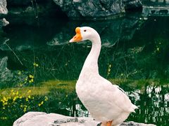 -祝家花園(伯渎港店)