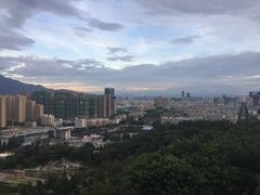 -金鸡山公园