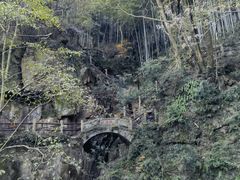 -莫干山风景区