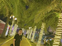 -三亚海昌梦幻海洋不夜城