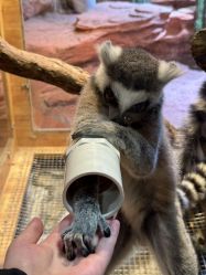 -Zoolung Zoolung动物主题公园(海信广场店)