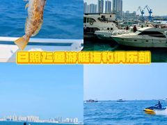 -日照海滨国家森林公园