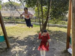 -天适樱花悠乐园