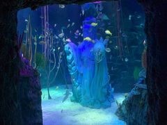 -沈阳海洋探索中心