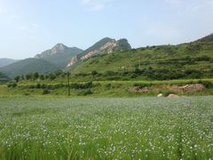 -蔚县茶山村