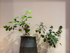 -衣川小森林·料理·寿司(鸿铭中心店)