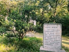 -灵谷景区
