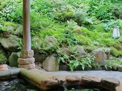 -有马温泉 竹取亭円山温泉旅馆