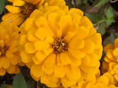 -上海市惠民中学