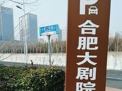 -合肥大剧院