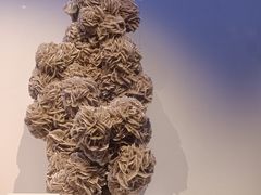 -重庆自然博物馆(新馆)