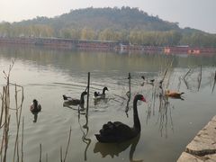 -南翠屏公园