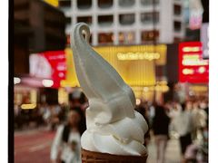 -富豪雪糕车流动点(尖沙咀)