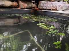 -昆明柏联SPA温泉