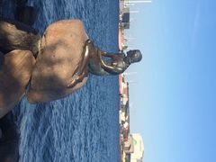 iphone_upload_pic-美人鱼