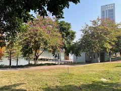 -怡海公园(桂城街道)