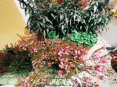 -萤火虫咖啡(后海店)
