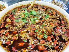 -江湖黑大兔(杨家坪店)