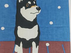 -柴迷FANS CLUB·柴犬狗咖·猫咖