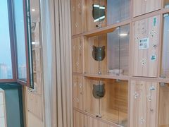 -猫十亿·布偶金渐层·曼基康矮脚猫舍(青年路店)