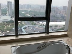 -合肥丰大国际大酒店