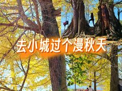 -四明山国家森林公园