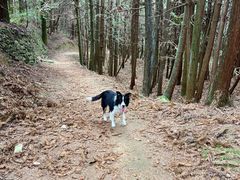 -大罗山风景区
