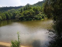 -滴水岩森林公园