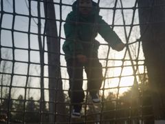 -合肥滨湖国家森林公园