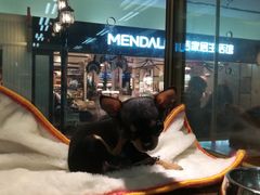 -乐宠宠物店(世纪金源店)