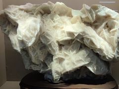 -浙江自然博物院(杭州馆)