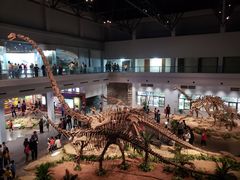 -自贡恐龙博物馆