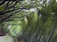 -同里国家湿地公园