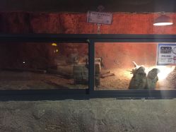 -酷嗒动物文化乐园(cutezoo西溪乐天城店)