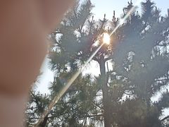 -小麦岛公园
