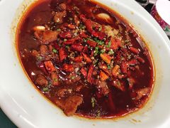 -喜福楼(黑山大街店)